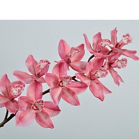 Гілка Орхідеї рожева 93 см