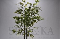 Бамбук зелений 130 см