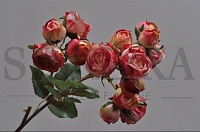 Троянда 52см, кремово-рожева