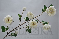 Роза белая 138см
