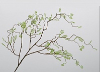 Ветка с листьями папоротника зеленая 117 см