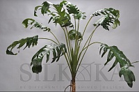 Рослина Філодендрон зелена 130 см