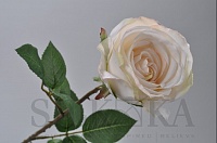 Роза с листьями кремовая  65см
