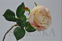 Роза розовая, кремовая 45см