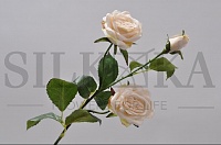 Троянда 55см, кремова