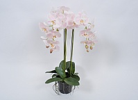 Орхидея в вазоне розовая 80см