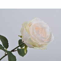 Троянда кремова 51 см