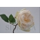 Троянда з листям кремова 29см