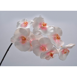 Орхідея біло-рожева 97 см