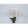 Орхидея в вазоне белая 80см