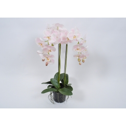 Орхидея в вазоне розовая 80см