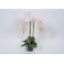 Орхідея в горщику рожева 80см