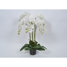 Орхидея в вазоне белая  94см