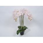 Орхидея в вазоне розовая 94см