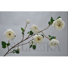 Троянда біла 138см