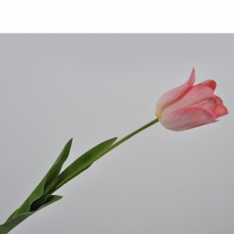 Тюльпан розовый 69 см