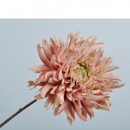 Ветка Георгины розово -зеленя 56 см