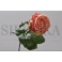 Роза 56см, розовая