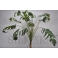 Рослина Філодендрон зелена 130 см