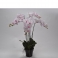 Орхидея в вазоне, розовая 92 см