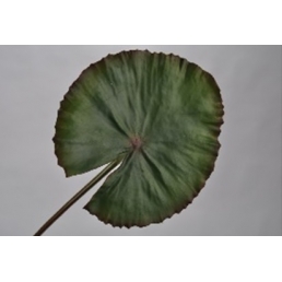 Листя водної лілії 74см зелений