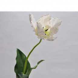 Тюльпан 80см білий