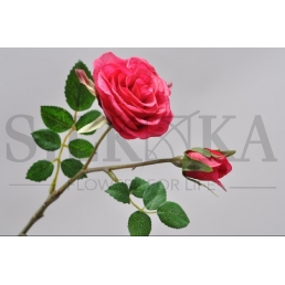 Роза beauty 33cм